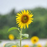 04-1.jpg